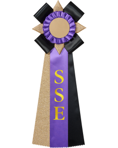 Särskilt samspel ekipage