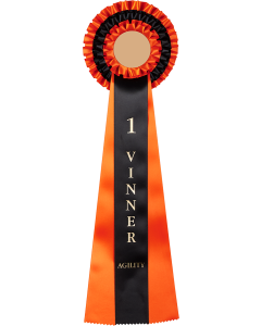 1-3 Vinner agility