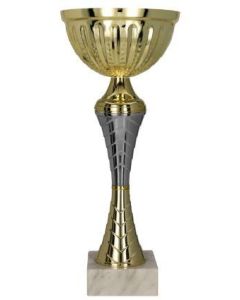 Guld och silver pokal